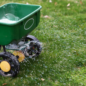 A Brief Guide to Fertilizing Bermuda Grass