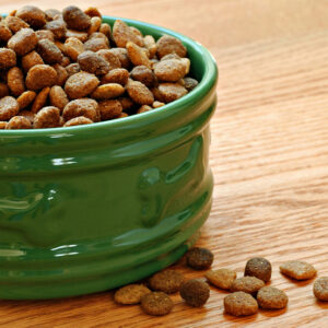 How to Choose the Best Dry Food for Dogs