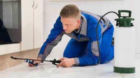 Common DIY home pest control solutions