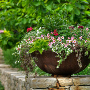 Creative garden planter ideas