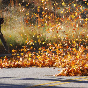 Different Types of Gas Leaf Blowers