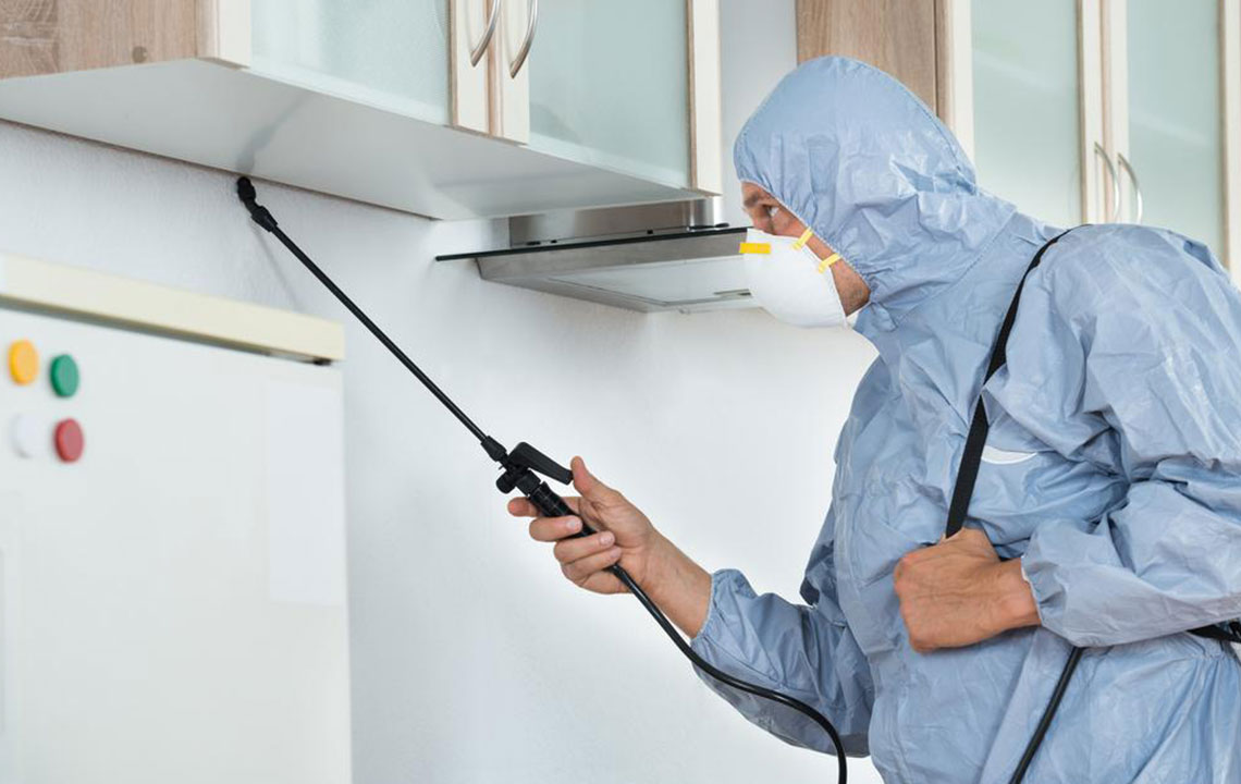 Different types of pest control methods