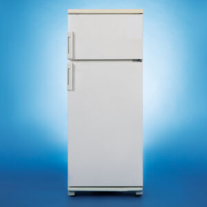 Everything You Need to Know about LG Refrigerators