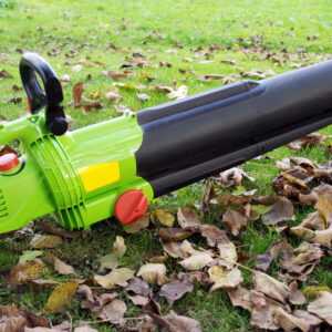 Factors to Consider before Buying Gas Leaf Blowers