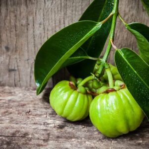 Getting a Closer Look at the Garcinia Cambogia Side Effects