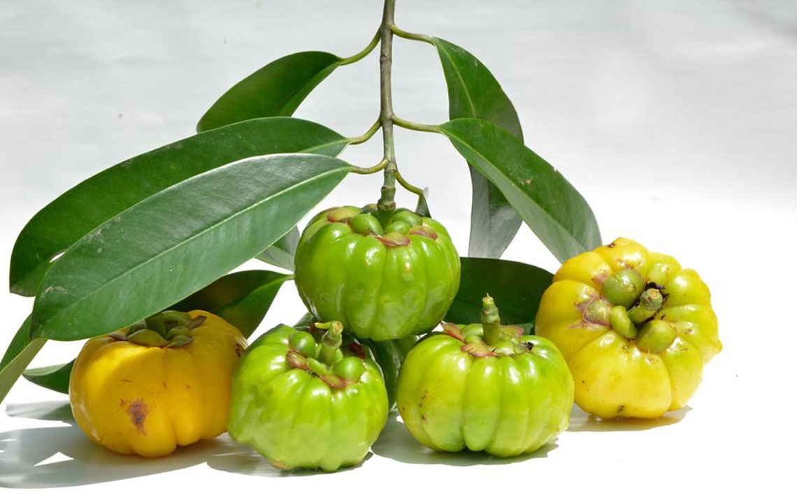 Getting an insight on Garcinia Cambogia