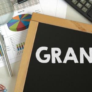 Government grants &#8211; What are they and who is eligible