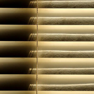 Here&#8217;s what the best blinds have to offer