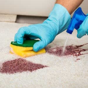 How Do You Choose The Best Carpet Stain Removers