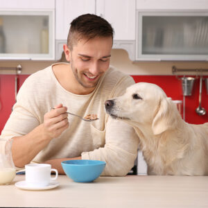 How To Choose The Best Dog Food For Your Furry Friend