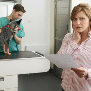 Pet Insurance Cover For Euthanasia