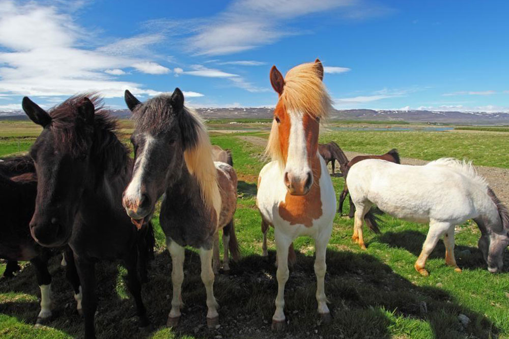 Popular places to visit in Iceland