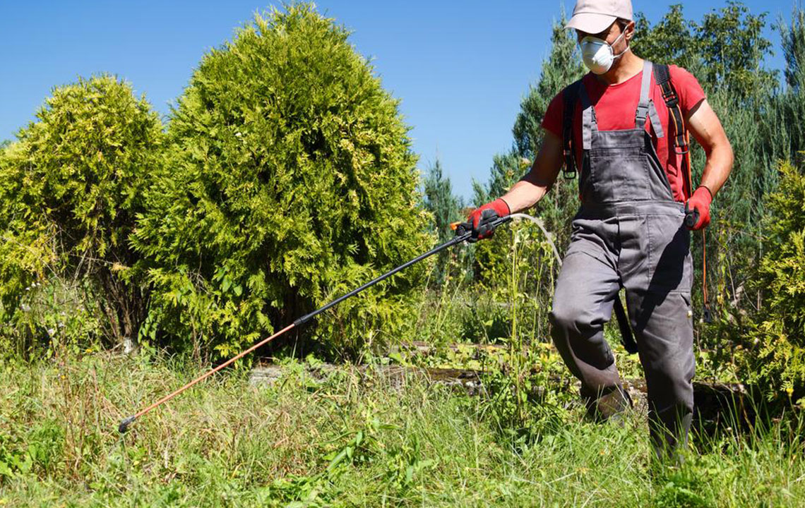 Safety guidelines to follow when removing weeds from the garden