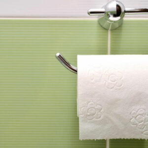 Types of bathroom tissue holders