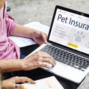 The Average Cost Of Pet Insurance