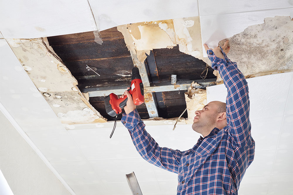 Top Reasons to Hire a Professional Water Damage Restoration Company