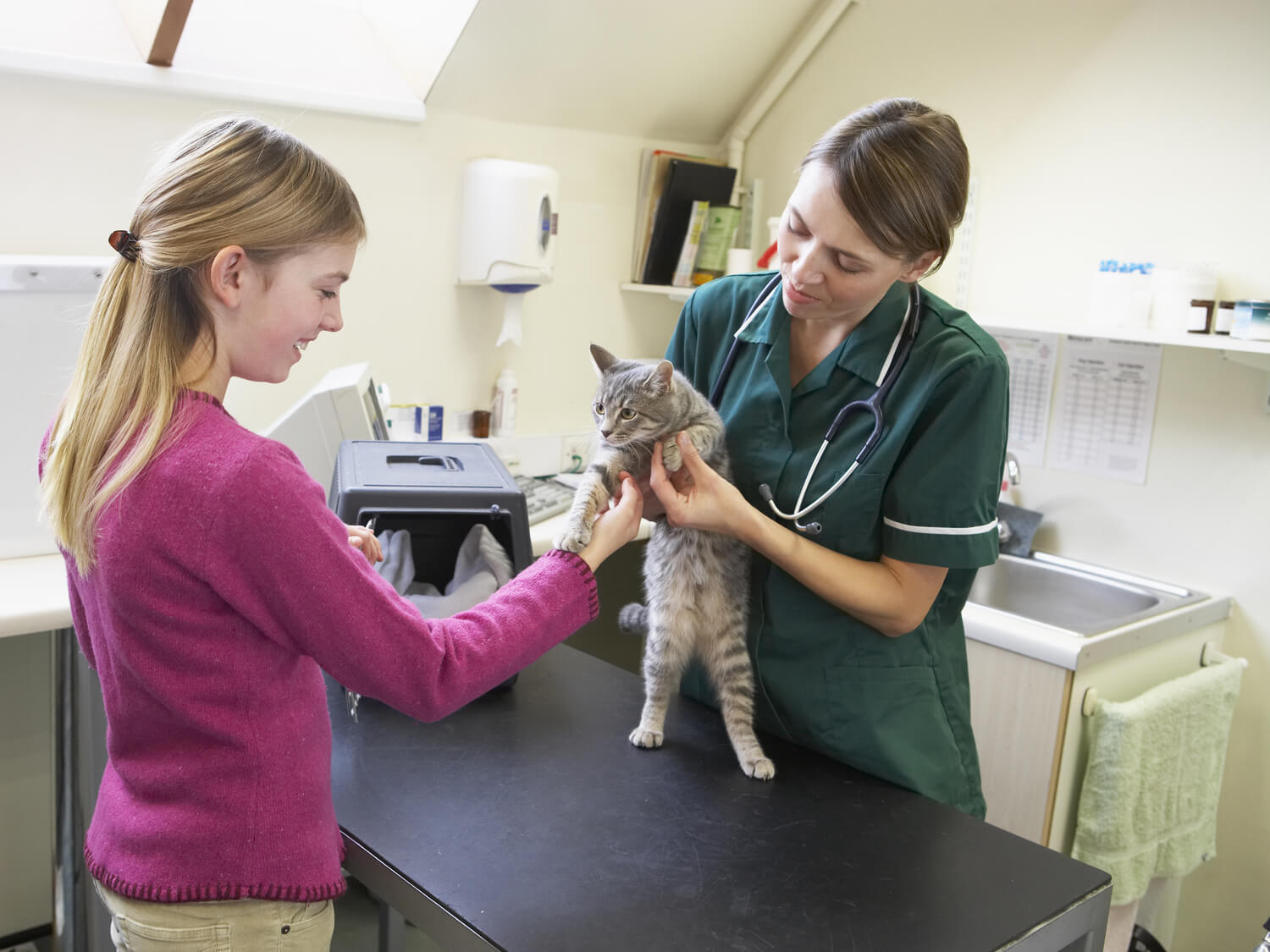 Understanding Vaccination Coverage In Pet Insurance Policies