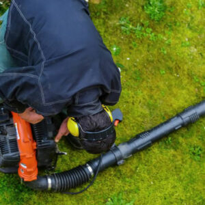 Why do you need leaf blowers for garden cleaning?