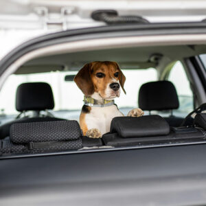 4 benefits of installing a car pet barrier