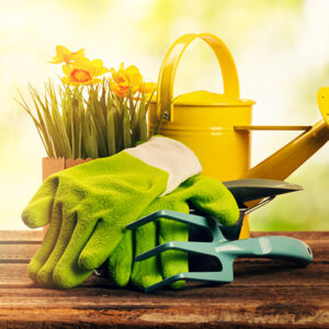 5 Gardening Accessories You Simply Must Have