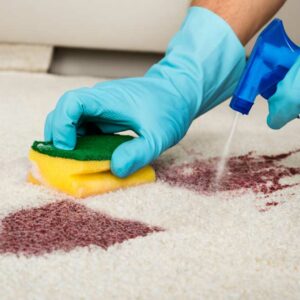 5 Popular Carpet Stain Removers to Choose From