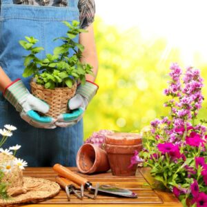 6 Easy Ideas for Small Flower Gardens at Home