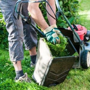 7 Tips to Get the Most from Your Garden Shredder