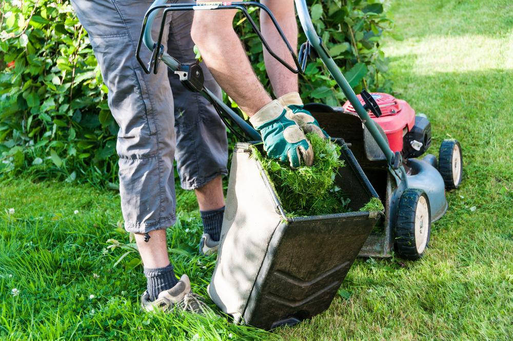 7 Tips to Get the Most from Your Garden Shredder