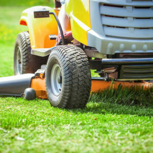 Choosing the right lawn maintenance service providers