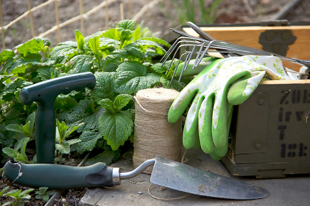 Create a beautiful garden with the right tools and accessories