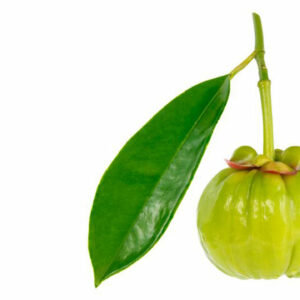 Garcinia &#8211; A simple fruit with numerous health benefits