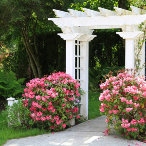 Simple yet effective tips to make a garden arbor