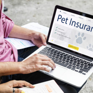 3 essential tips for choosing the right pet insurance plan