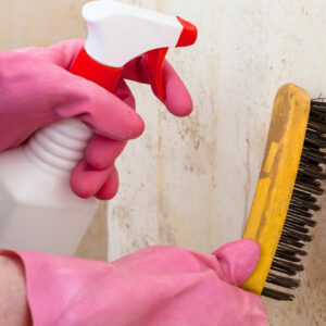 3 natural ways to remove mold