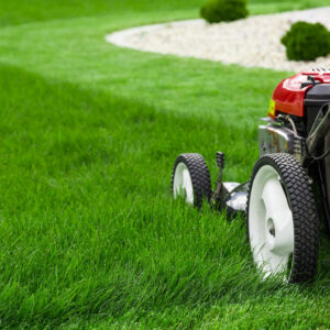 5 lawn care tips to maintain a lush green yard