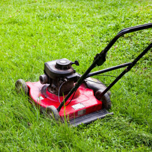 Top 10 Lawn Mower Deals to Expect on Black Friday